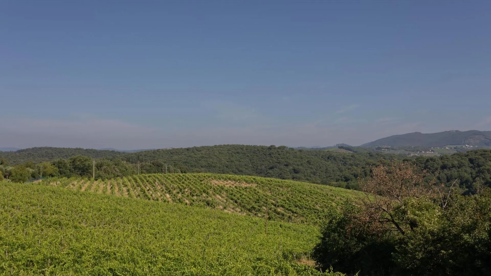 Cs Holiday Castelnuovo Berardenga Italia